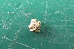 Место где много золота и дикого зверья! Первое золото