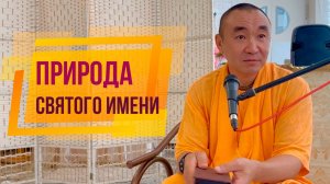 2024.08.08 - Природа святого имени - Е. С. Даяван Свами