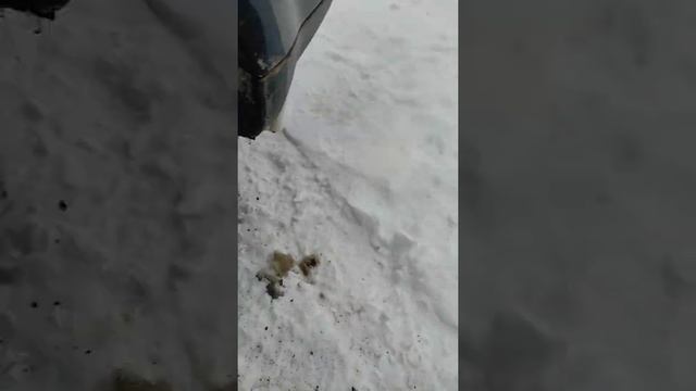 замена наружного ШРУС на форд фокус 2, С-Max смотреть онлайн