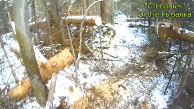 1 заезд Большой круг 2 день (2 часть) 13 10 20 смотреть онлайн