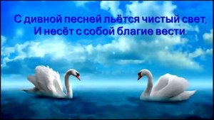 Не стреляйте в белых лебедей