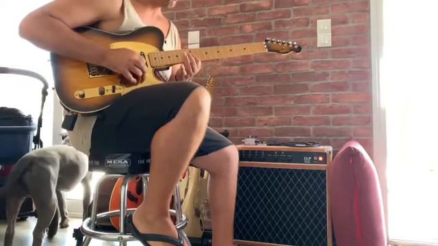 Schecter Van Nuys tele “Dream Machine” смотреть онлайн