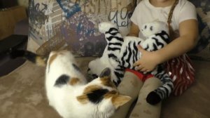 "TOY STORE" Тигренок АМУРЧИК/Интерактивная игрушка FurReal Friends