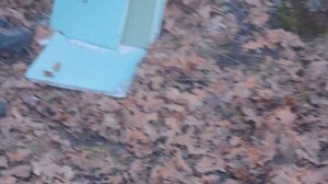 Гладкоствольное магазинное ружье с продольно-скользящим (болтовым) затвором МЦ 20-01