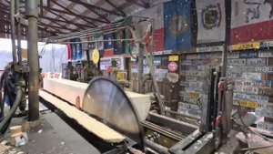 sawing a nice white spruce log # 538