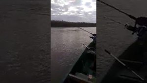 База Волчёк(Каралат,Астраханская губерния 2019)