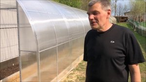Весенние хитрости северных виноградарей или Сергей Ананченко и его укрытия для винограда.