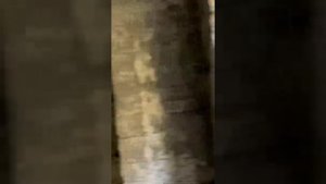 Замок (Дворец) принца Ольденбургского в Гаграх Абхазия