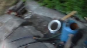 Профилактика болезней на капусте