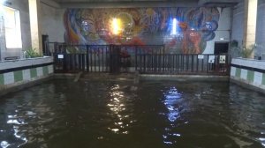 Бегемот говорит, кто главный в Калининградском зоопарке