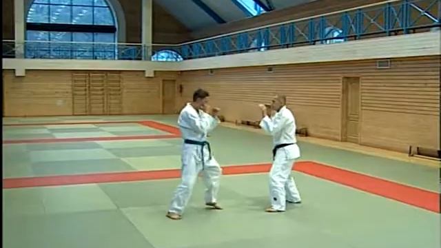 от удара сбоку передняя подножка с обхватом шеи смотреть онлайн