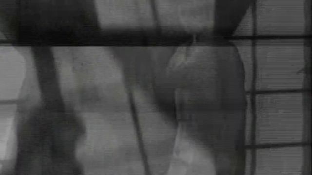 Silent Hill / Muse / Map Of Problematique смотреть онлайн