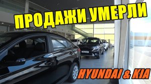 HYUNDAI & KIA ЦЕНЫ АВГУСТ 2024