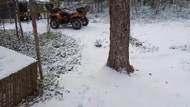 Одни в дикой тайге, перегрели квадроцикл приехали на не известный лагерь А тамм..... смотреть онлайн