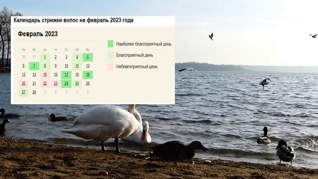 Лунный календарь стрижек на февраль 2023. Благоприятные дни для стрижки волос в феврале 2023