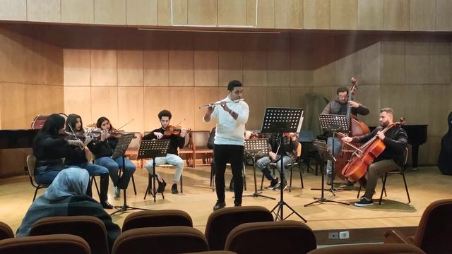 C.Stamitz concerto in G major OP. 29 for Flute& string orchestra No. 1 смотреть онлайн