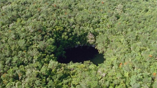 Планета Земля. 4 серия. Документальный фильм о природе смотреть онлайн