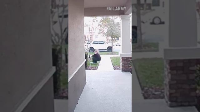 Не такую утренюю прогулку она хотела🐶