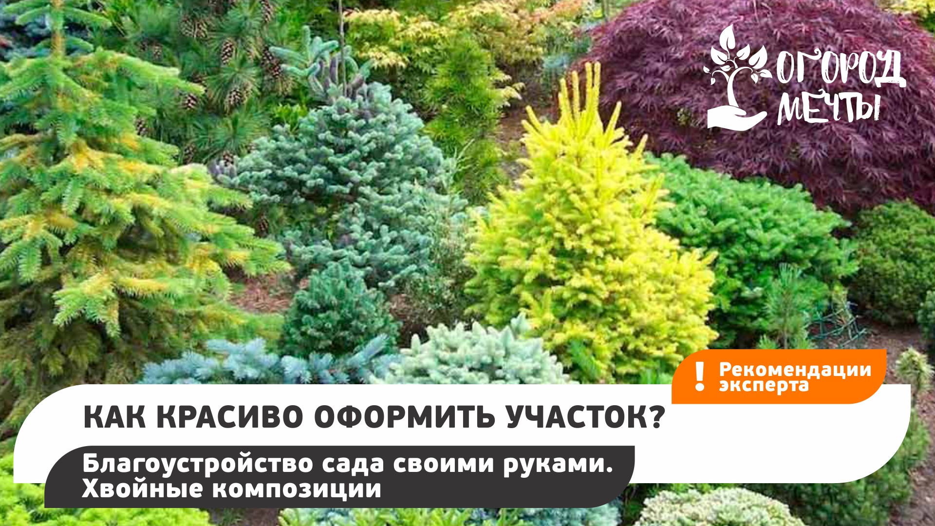 Как красиво оформить участок? Благоустройство сада своими руками.  Хвойные композиции