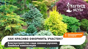 Как красиво оформить участок? Благоустройство сада своими руками.  Хвойные композиции