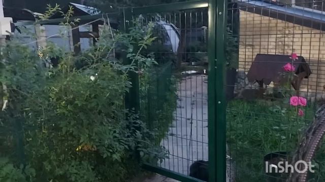 ЧТО ПРОИСХОДИТ В МИРЕ? ИНГА ХОСРОЕВА. ВЕДЬМИНА ИЗБА. смотреть онлайн