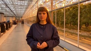 Агролидеры РФ. Проект ,,Умные теплицы "