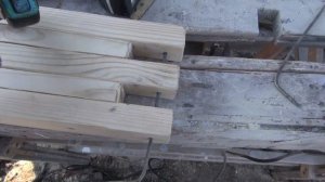 Фиксатор для обездвиживания овец и баранов.