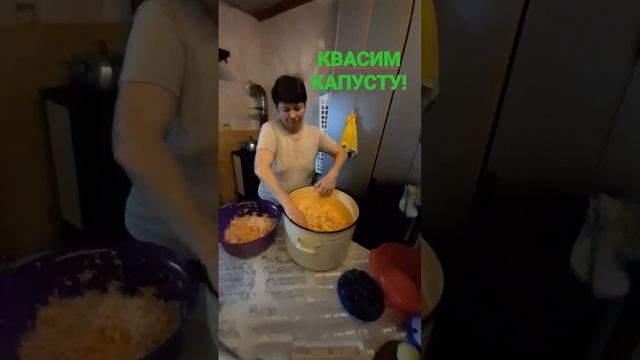 КВАСИМ КАПУСТУ, НОЯБРЬ НА ДВОРЕ!#капуста #квашеннаякапуста #дача #кочанкапусты #капустаквашеная смотреть онлайн