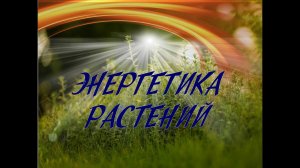 Энергетика растений