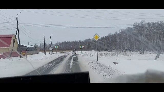 Переезжаем в ТЮМЕНЬ!!!!! Кошка переезжать не хочет!
