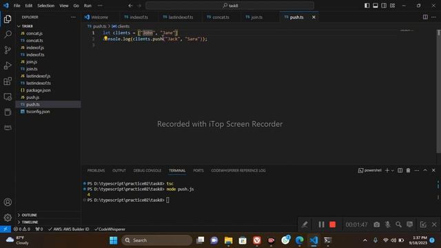 Push Function Typescript