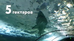 10 Самых Больших Аквариумов в Мире