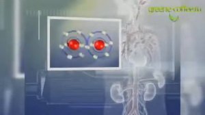 Зеленый кофе молотый