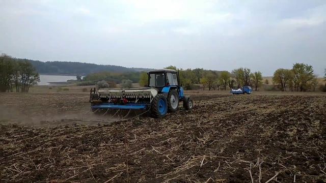 МТЗ 892 И СЗ-3.6! ПОСЕВНАЯ ПШЕНИЦЫ!