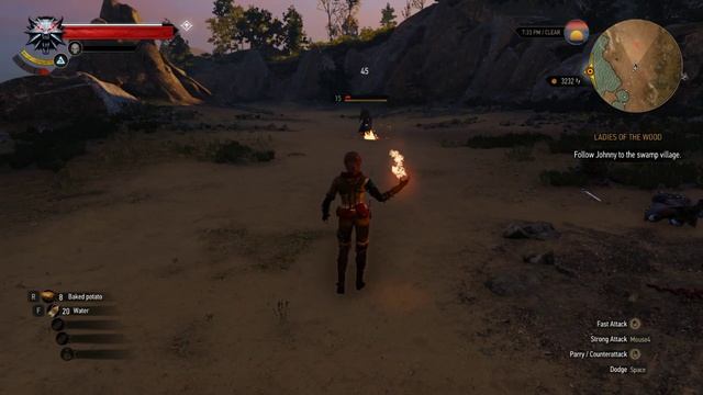 Playing as Triss Merigold in The Witcher 3 GOTY FULL SORCERESS COMBAT Fire Magic Test