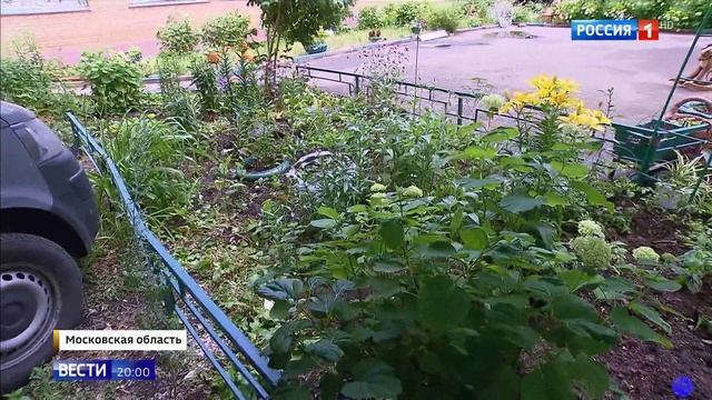 КАБАНЫ ПОСЁЛКА ДРУЖБА МЫТИЩИ смотреть онлайн