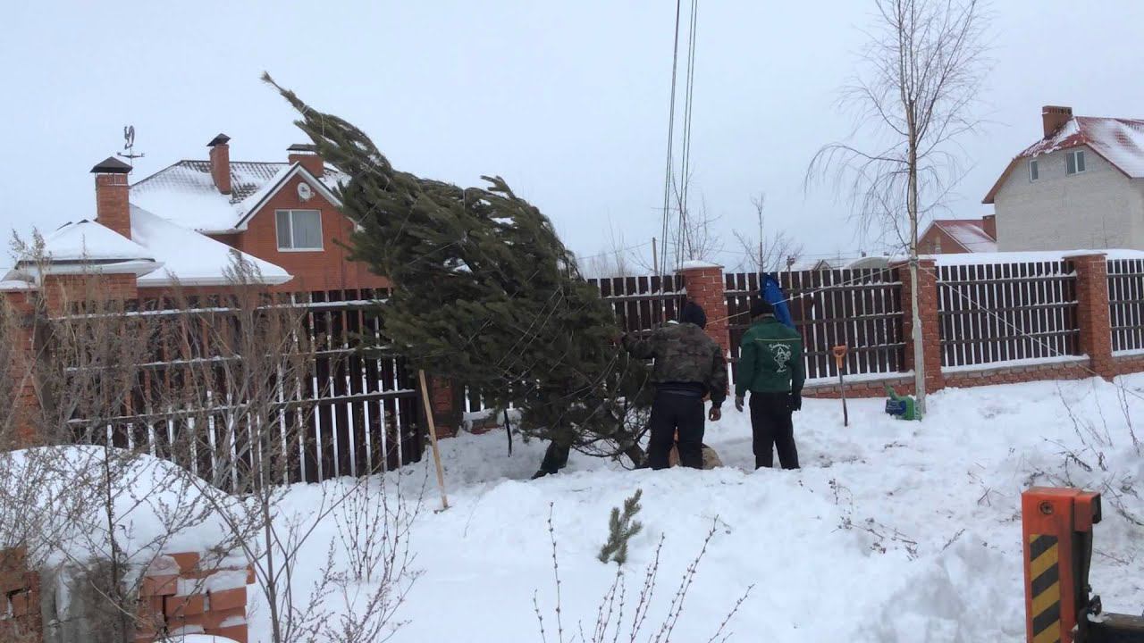 Посадка крупномнера 5 метров видео №2