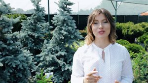 Садовый центр | Выбор растений для ландшафтного дизайна | GardenBoom