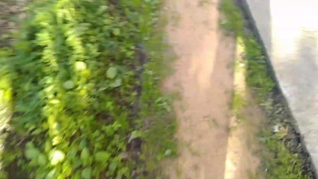 Обзор парадных во время космет. ремонта 2021 №2 смотреть онлайн