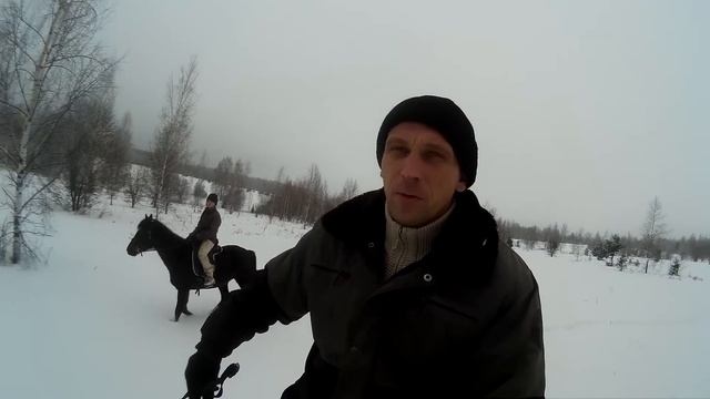 Кабаны атакуют деревню! Едем на лошадях проверять колоду для пчёл/ Жизнь в деревне смотреть онлайн