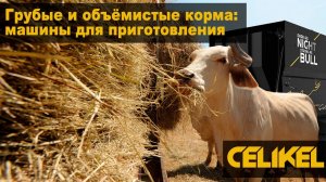 Грубые и объёмистые корма: технология, качество, машины для приготовления