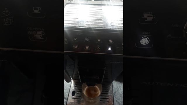 Delonghi Autentica 29.510 сброс программы.