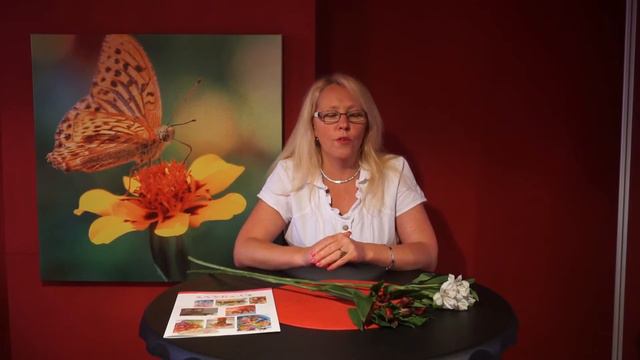 Alstromeria смотреть онлайн