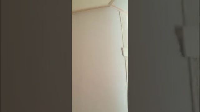 Панели Гипсокаркас через 5 лет