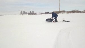 Мотобуксировщик алабай