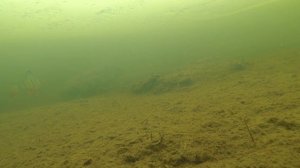 ВЕСЕННЯЯ РЫБАЛКА ЗА ПОЛЯРНЫМ КРУГОМ / SPRING FISHING IN THE ARCTIC CIRCLE