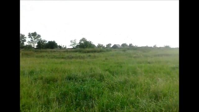 Коп в сентябре. Короткий и беспощадный смотреть онлайн