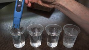 Диатомовые водоросли в аквариуме - причины возникновения и методы борьбы.