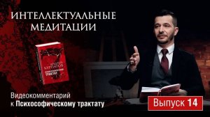 Интеллектуальные медитации.  Видеокомментарий к Психософическому трактату: выпуск 14