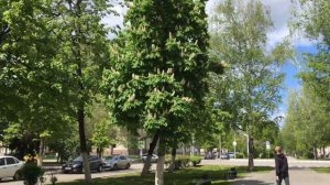 Саранск красивый город. Прогулка по городу.